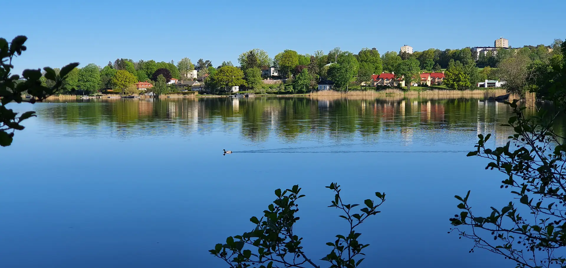 Radonsanering med garanti i Norrköping