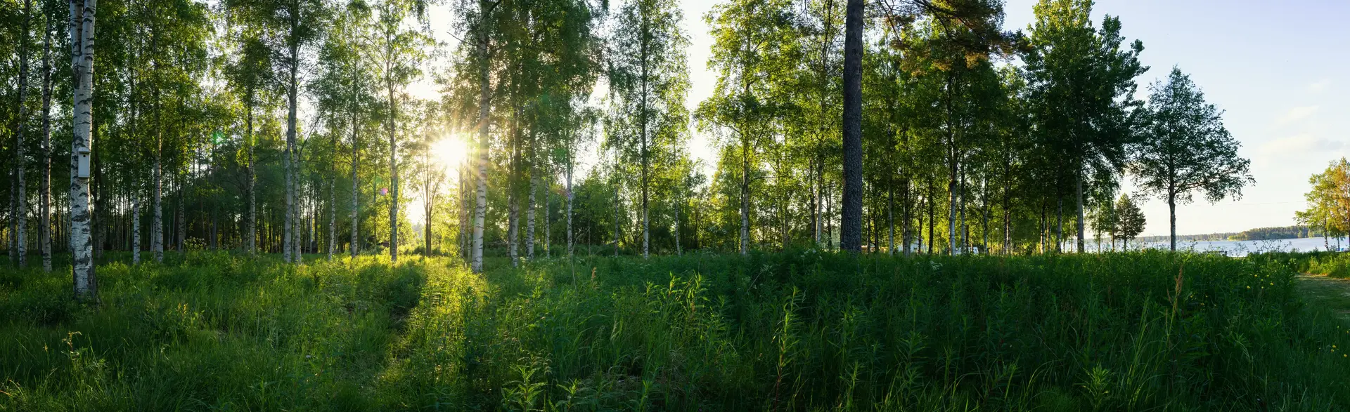 Experter på ventilationsrengöring i Norrköping